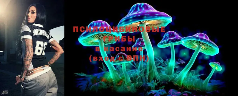 Галлюциногенные грибы Psilocybe  купить наркотики сайты  кракен рабочий сайт  Алушта 